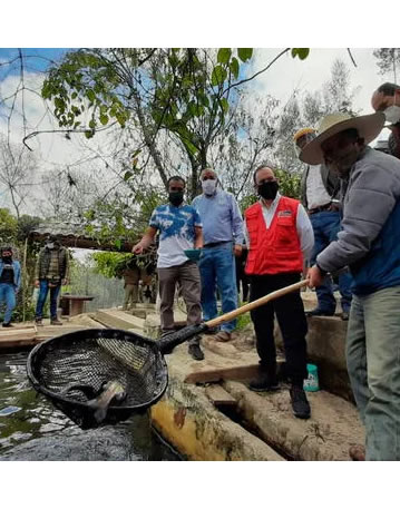 Tarapoto-Clásico